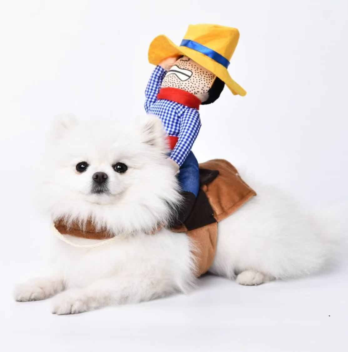 Cowboy Ride-On Pet Costume — Cowboy Shades & Straw Hat Outfit for Dogs & Cats 4 Sizes (S–XL)  Plush Rider Doll Quick-On Velcro  Photo-Ready Halloween / Party LookPhoto-Ready  Halloween Outfit PetCostume TrickOrTreat HalloweenCat PetHalloween HalloweenSale