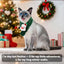 Christmas Dog Scarf