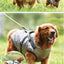 Winter Warm Large Pet Dog Jacket with Harness Waterproof