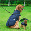 Winter Warm Large Pet Dog Jacket with Harness Waterproof