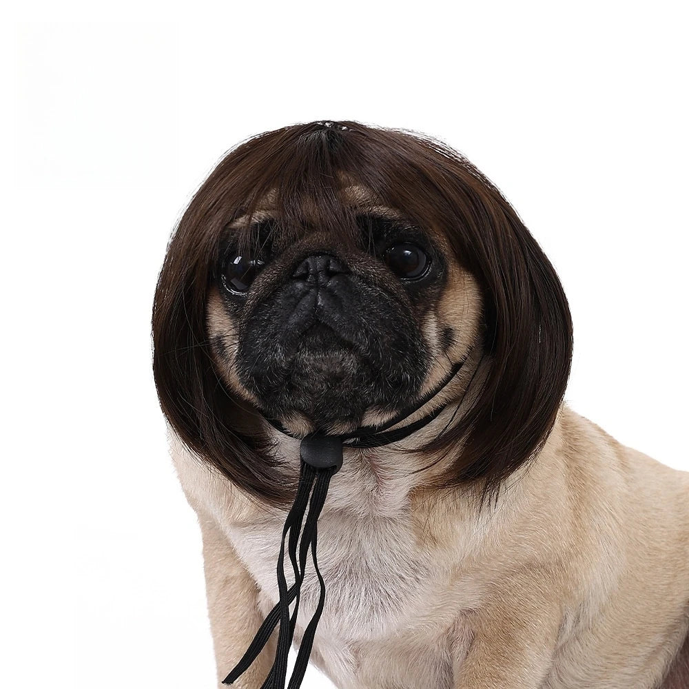 Cute Pet Wigs for Dogs and Cats with Soft Synthetic Hair and Adjustable Elastic Band for Secure Fit During Costume Parties