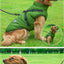 Winter Warm Large Pet Dog Jacket with Harness Waterproof