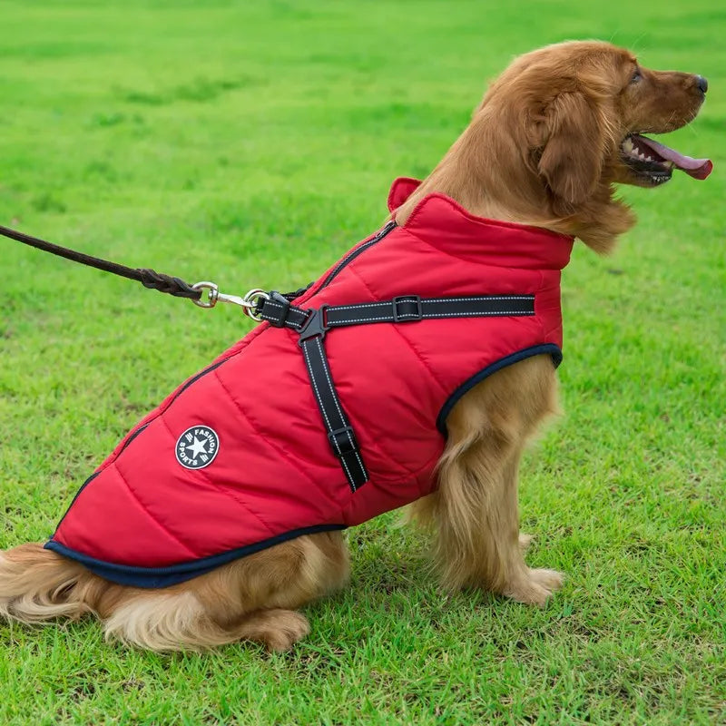 Winter Warm Large Pet Dog Jacket with Harness Waterproof