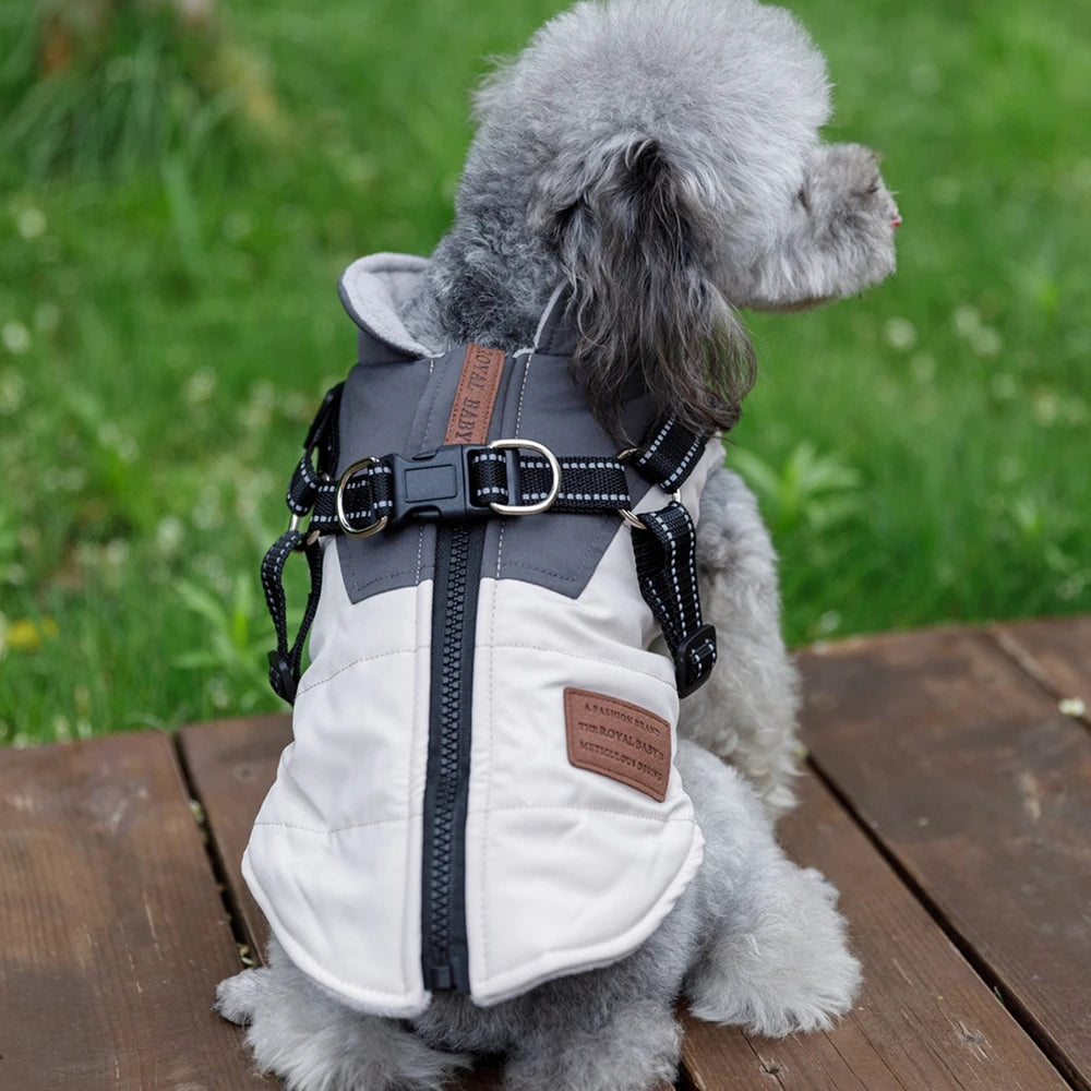 Winter Pet Dog Jacket With Harness Warm Dog Clothes For Labrador Waterproof Big Dog Coat Chihuahua French Bulldog Outfits