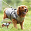 Winter Warm Large Pet Dog Jacket with Harness Waterproof