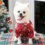 Christmas Dog Clothes Winter Pet Sweater