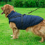 Winter Warm Dog Jacket Waterproof Fleece with Harness