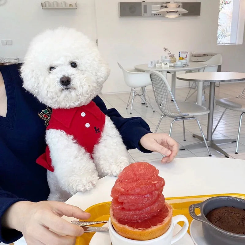 Summer Polo Shirt for Dogs Puppy Clothes