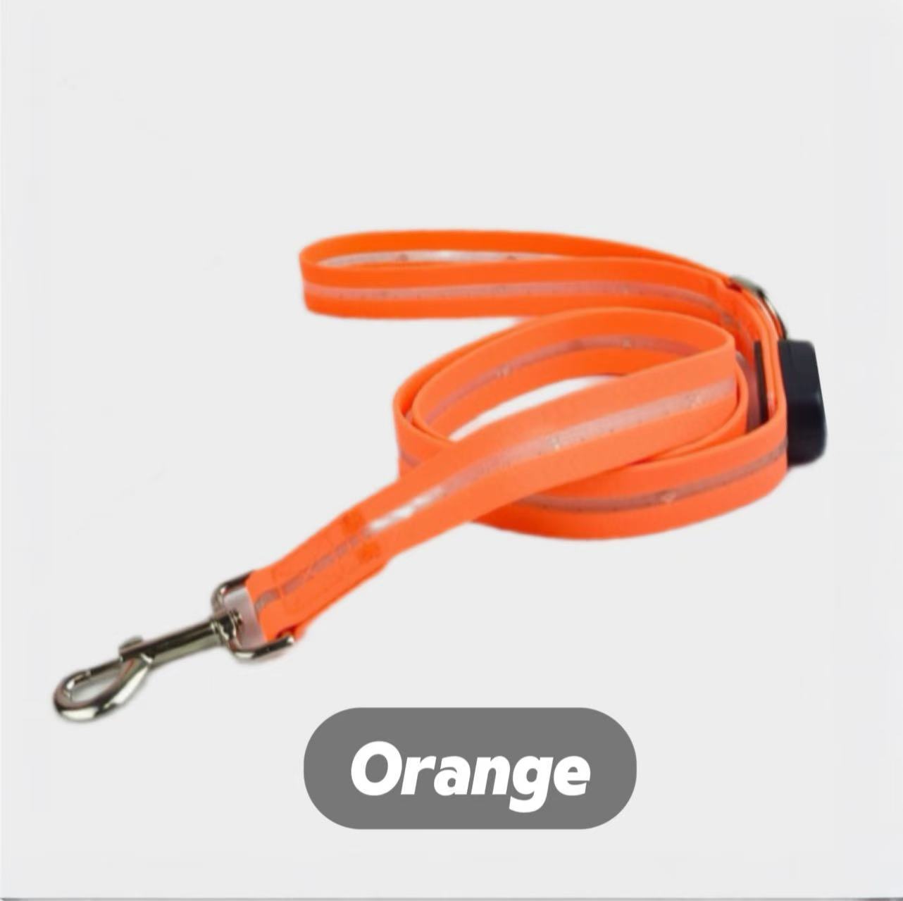 10-Mode RGB Rechargeable Dog Leash (25mm) — Full-Strip Glow USB 1-Hr Fast Charge, IPX7 Waterproof, Visible 100m+  Quick-Release & Rust-Resist Hardware