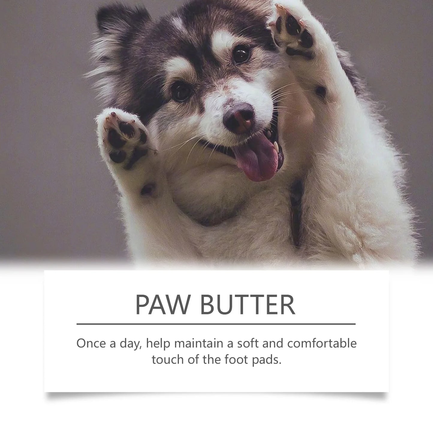 Paw Soothing Balm Dogs and Cats 30g Moisturizing Paw Pad Care Cream with Beeswax Mineral Oil Relieve Dry Cracked Paws Naturally