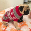 winter Jacket Clothes for Dog cat