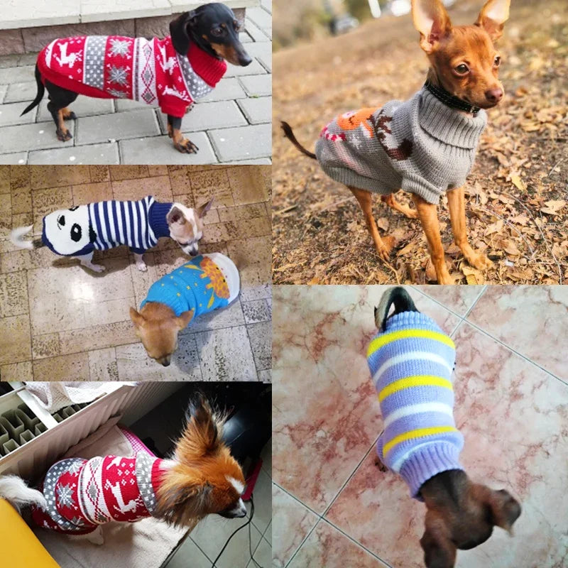 winter Jacket Clothes for Dog cat
