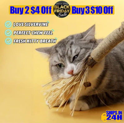 Natural Cat Dental Chew Sticks — Silvervine, Raffia Grass,  Sisal Fiber & Gallnut | Plant-Based Teeth Cleaning  Chews for Fresh Breath & Healthy Gnawing