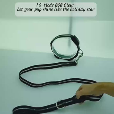 10-Mode RGB LED Dog Collar (0.984in) – USB Rechargeable IPX7 Waterproof, Up to 100m Visibility Quick-Release Buckle & Rust-Resist D-Ring
