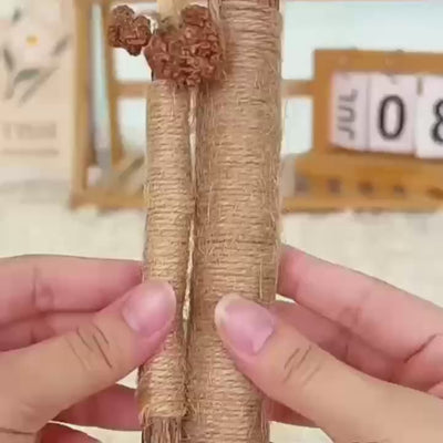 Natural Cat Dental Chew Sticks — Silvervine, Raffia Grass,  Sisal Fiber & Gallnut | Plant-Based Teeth Cleaning  Chews for Fresh Breath & Healthy Gnawing