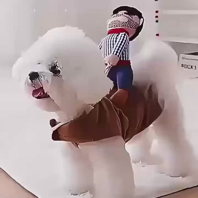 4-Pack Pet Costume Set for Multi-Pet Homes – Matador,  Money-Heist Cowboy, Western Cowboy & Killer Costume  | Black Friday Deal | Photo-Ready Dress-Up for Dogs & Cats